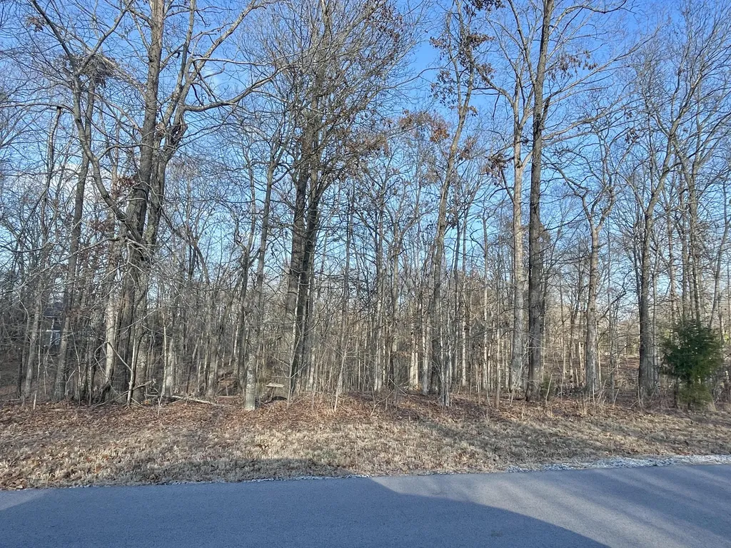 Lot 95 Deepwood Drive Murray KY 42071