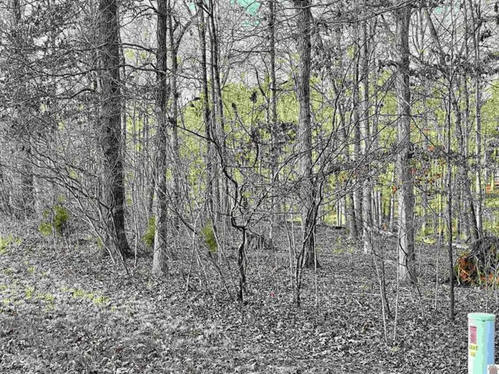 Lot 95 Deepwood Drive Murray KY 42071