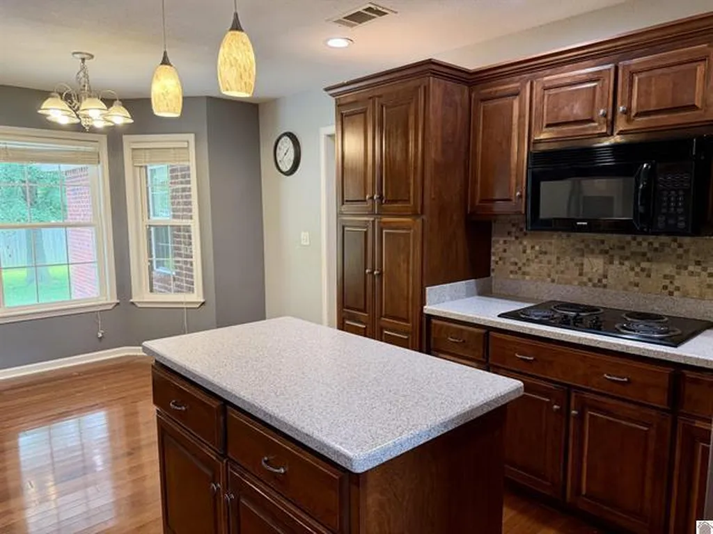 2225 Traci Drive Murray KY 42071