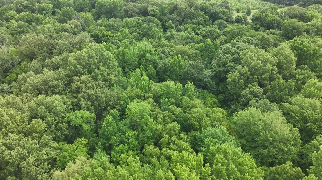 5300 Johnson Road Paducah KY 42001