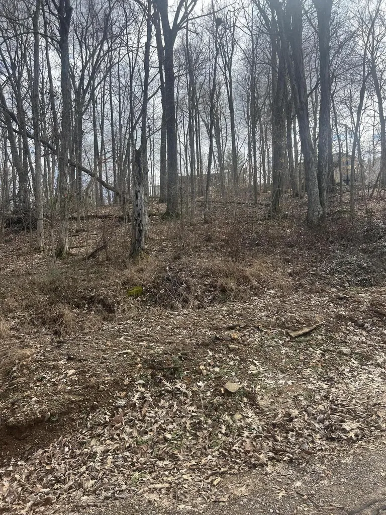 Rockastle Shores Ferrell Circle Cadiz KY 42211