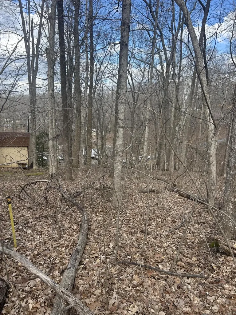 Rockastle Shores Ferrell Circle Cadiz KY 42211