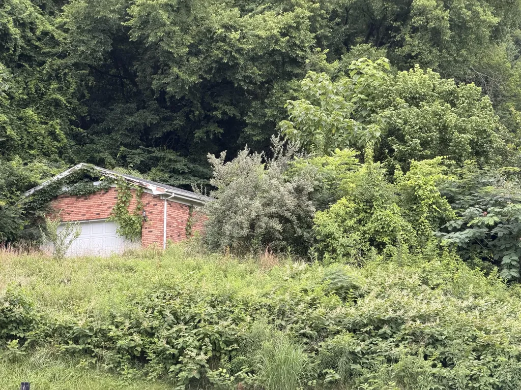 2 Black Powder Lane Salyersville KY 41465