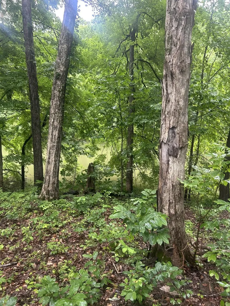 124 Woodfield Estates Drive Cadiz KY 42211