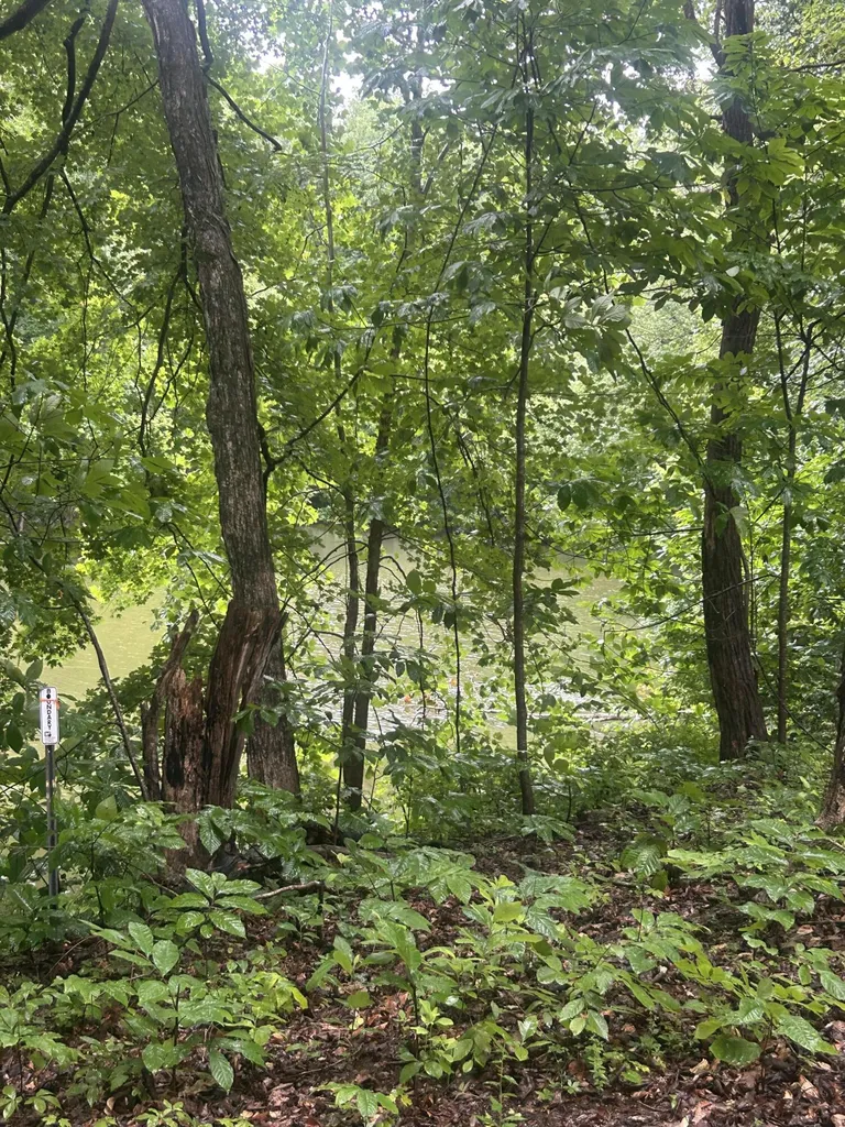 124 Woodfield Estates Drive Cadiz KY 42211