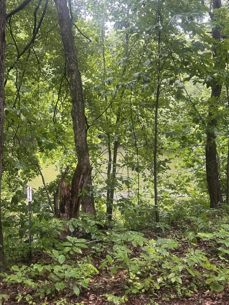 124 Woodfield Estates Drive Cadiz KY 42211