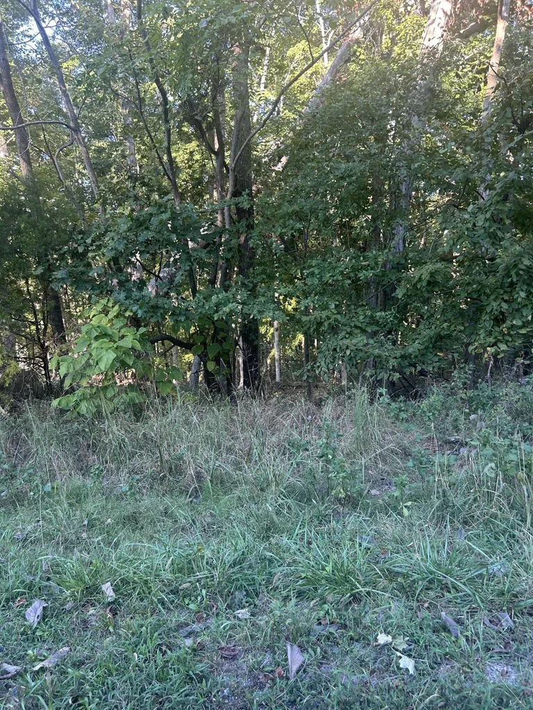124 Woodfield Estates Drive Cadiz KY 42211