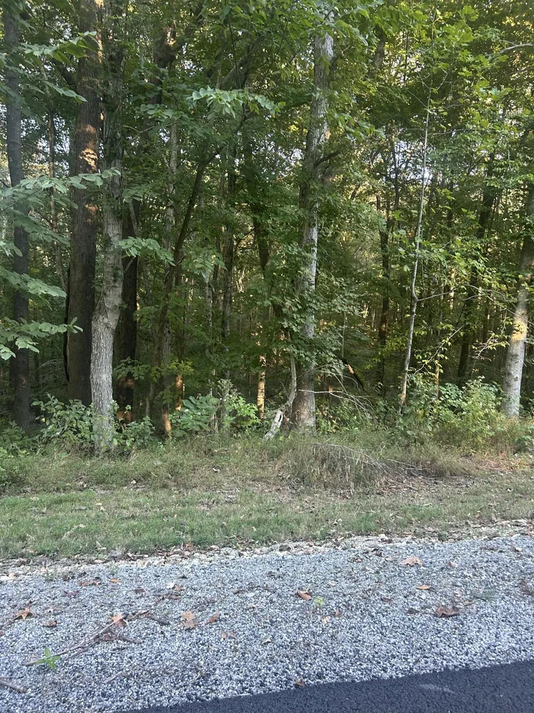 124 Woodfield Estates Drive Cadiz KY 42211