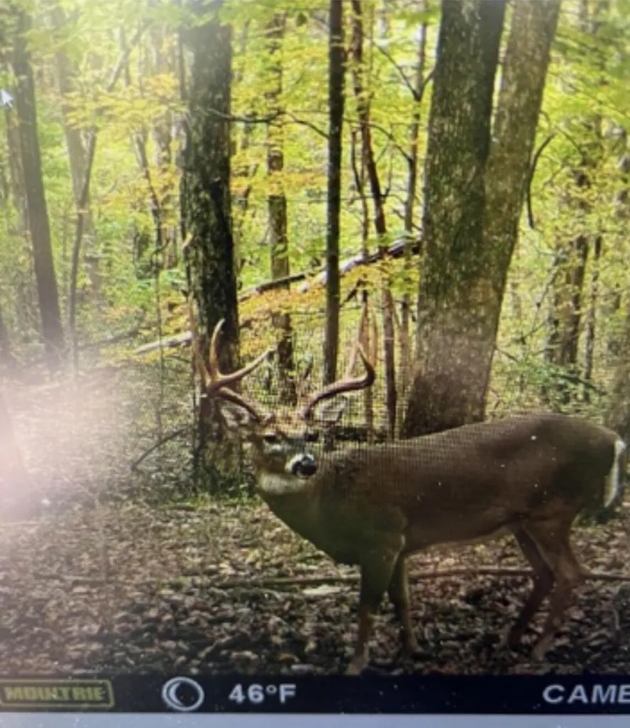 124 Woodfield Estates Drive Cadiz KY 42211
