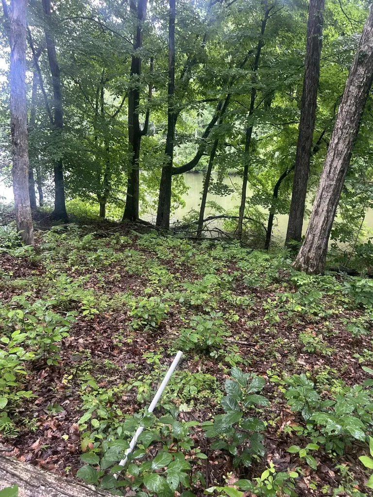 124 Woodfield Estates Drive Cadiz KY 42211