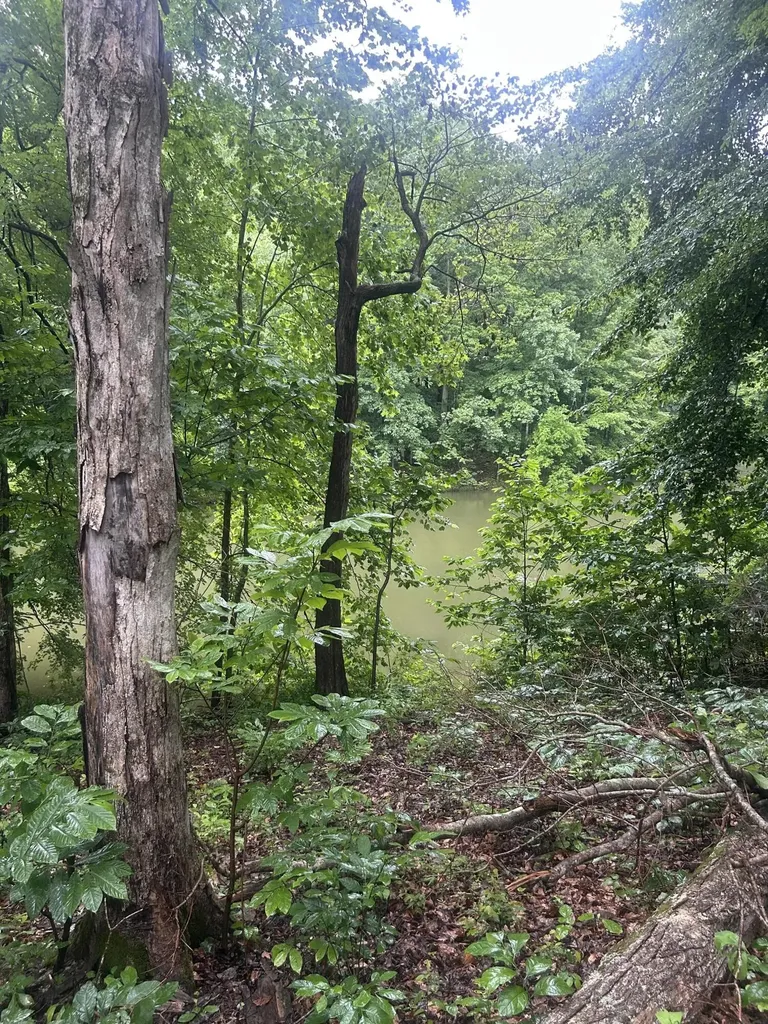 124 Woodfield Estates Drive Cadiz KY 42211
