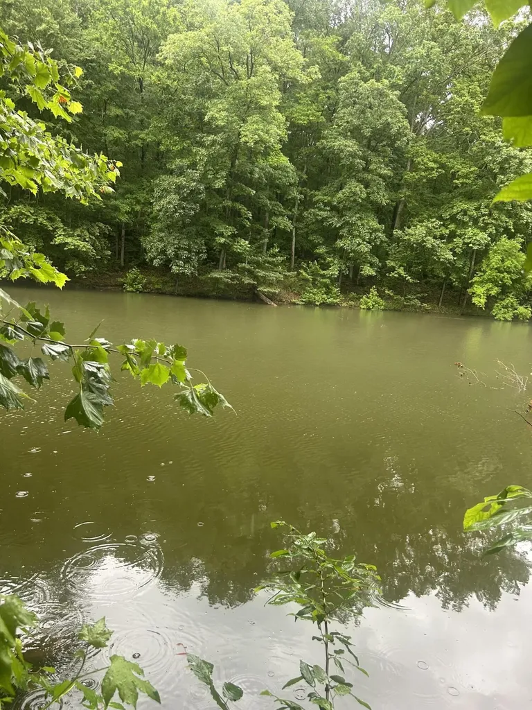 124 Woodfield Estates Drive Cadiz KY 42211