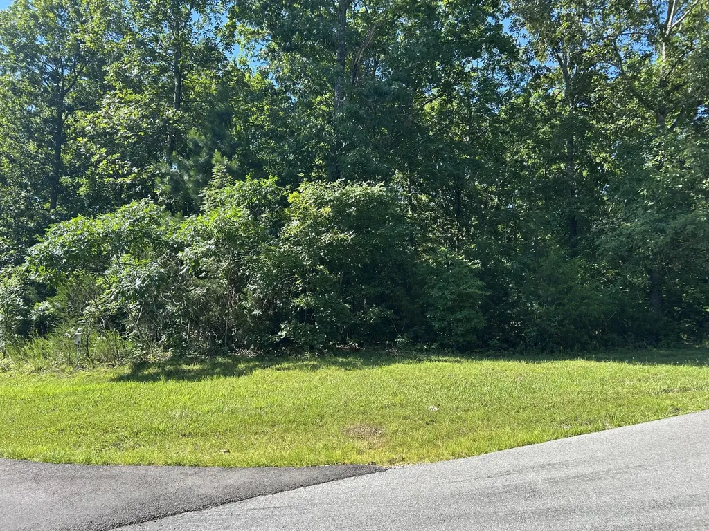 Lot 131 Deepwood Drive Murray KY 42071