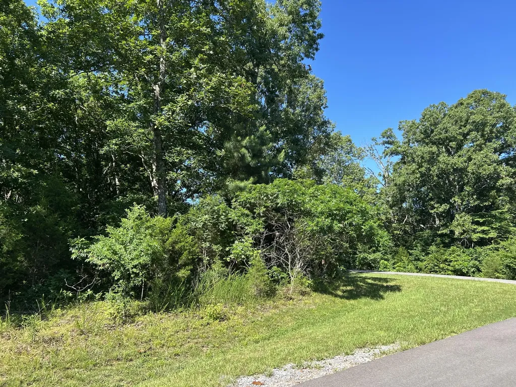 Lot 131 Deepwood Drive Murray KY 42071