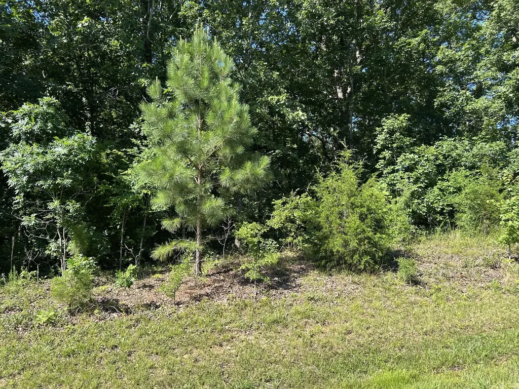 Lot 131 Deepwood Drive Murray KY 42071
