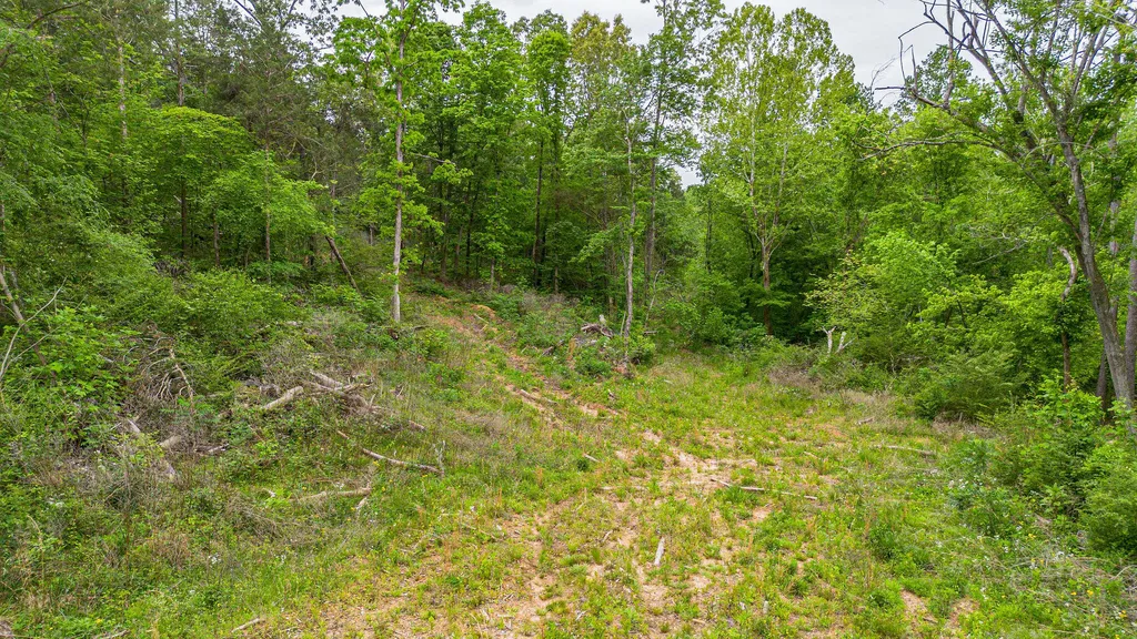 0 T S Chester Road Benton KY 42025