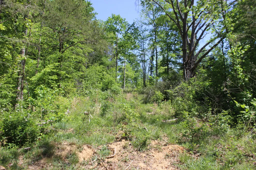0 T S Chester Road Benton KY 42025