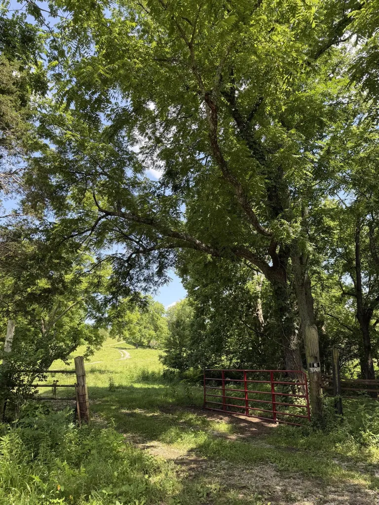 380 Howard Creek Road Winchester KY 40391