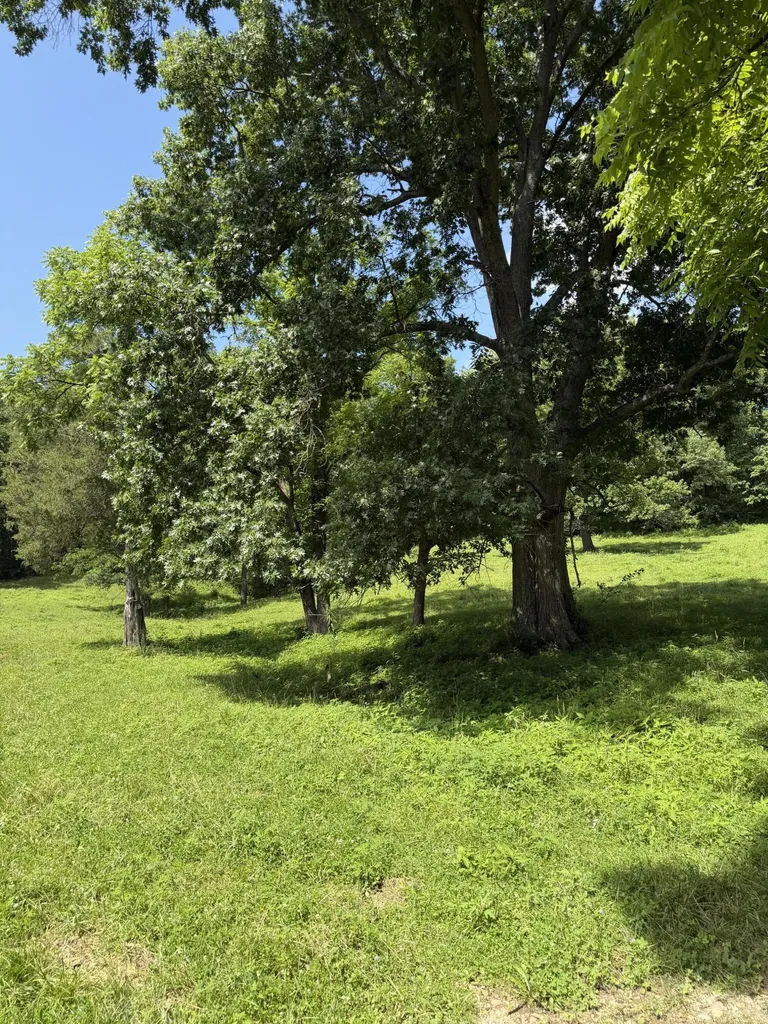 380 Howard Creek Road Winchester KY 40391
