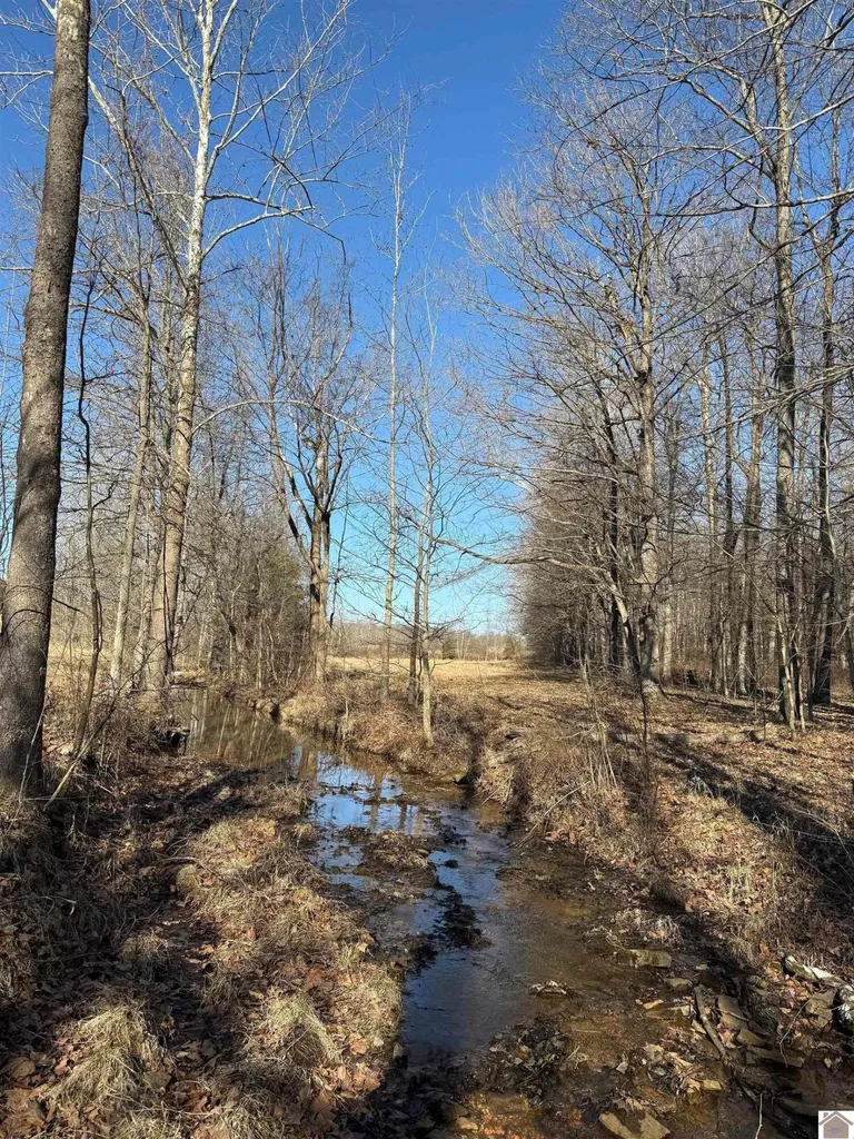 400 Jeff Clements Marion KY 42064
