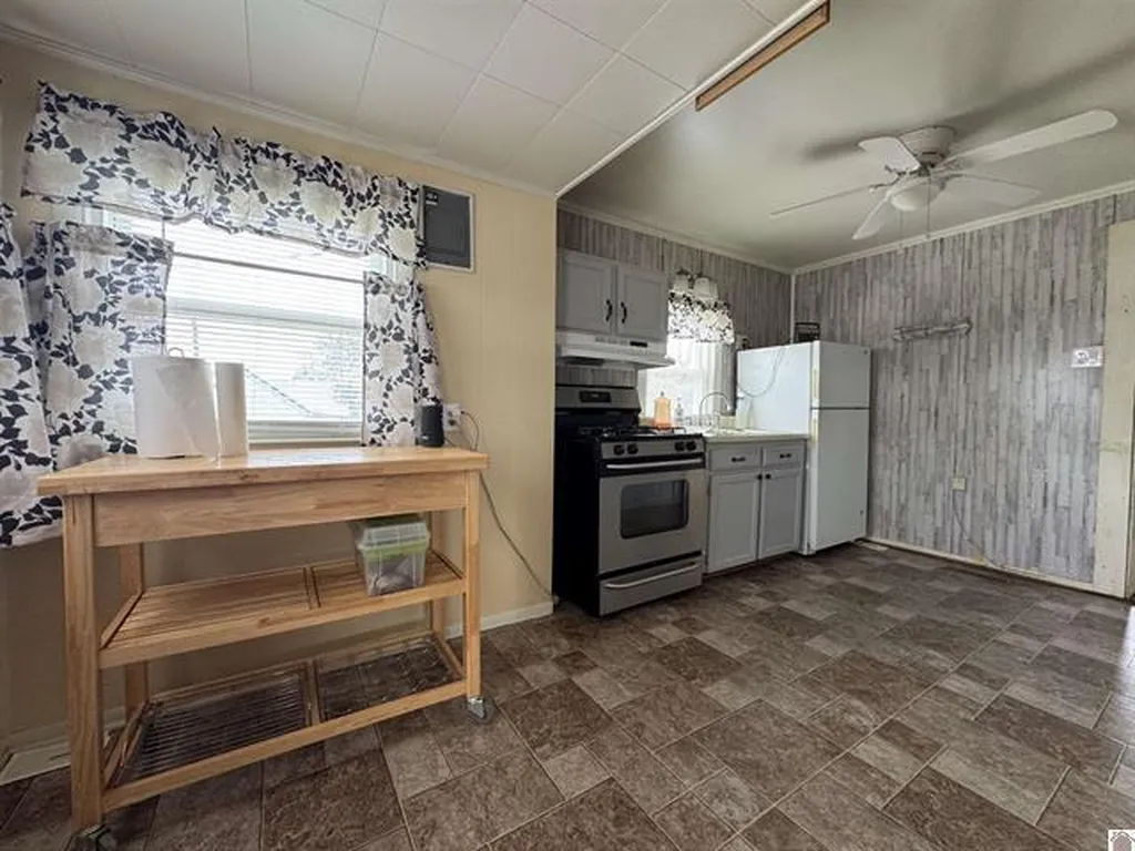 530 N Donnivan Street Princeton KY 42445