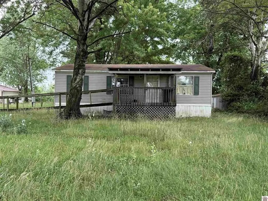 10670 Princeton Road Cerulean KY 42215