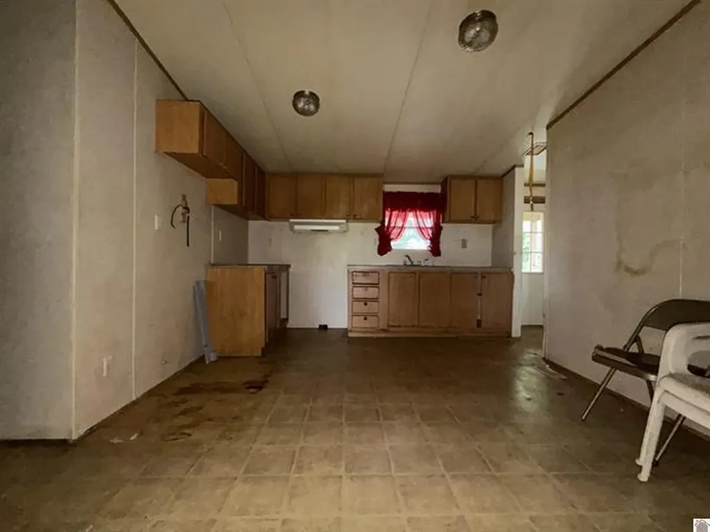 10670 Princeton Road Cerulean KY 42215