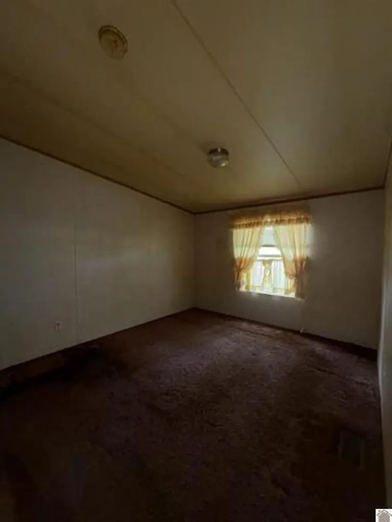 10670 Princeton Road Cerulean KY 42215