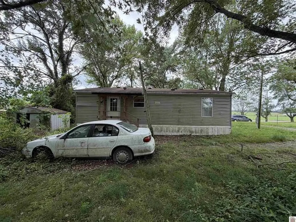 10670 Princeton Road Cerulean KY 42215