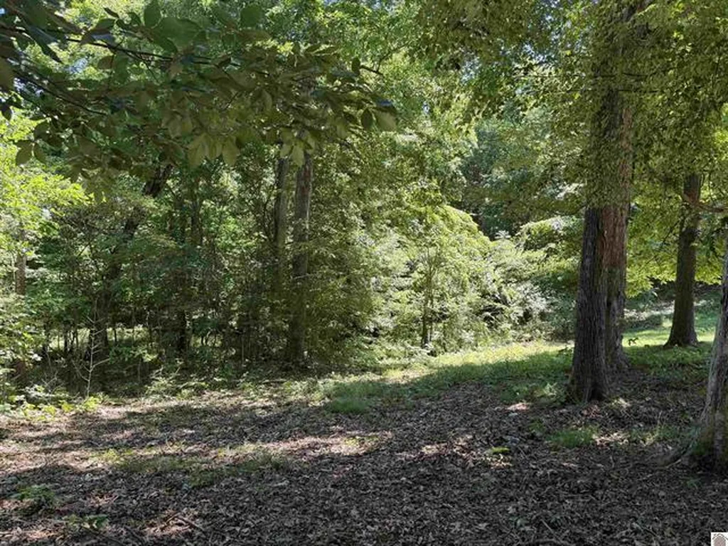 1742 Ed Mitchell Road Princeton KY 42445