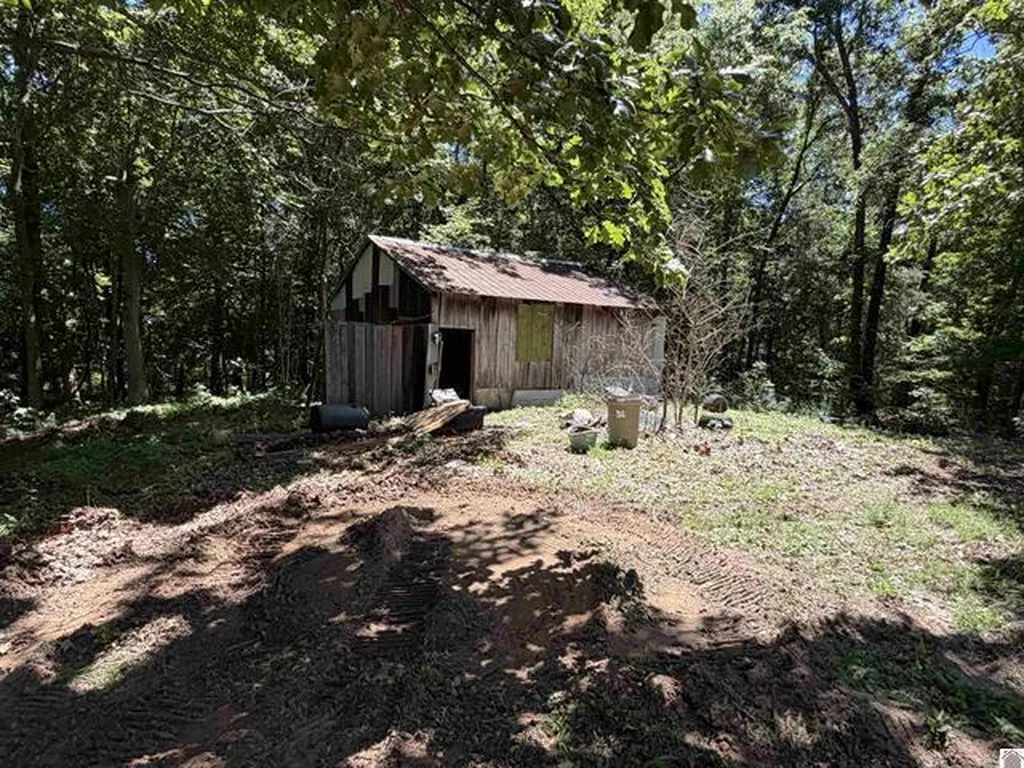 1742 Ed Mitchell Road Princeton KY 42445