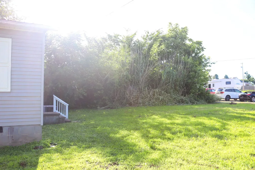311 Willow Street Mayfield KY 42066
