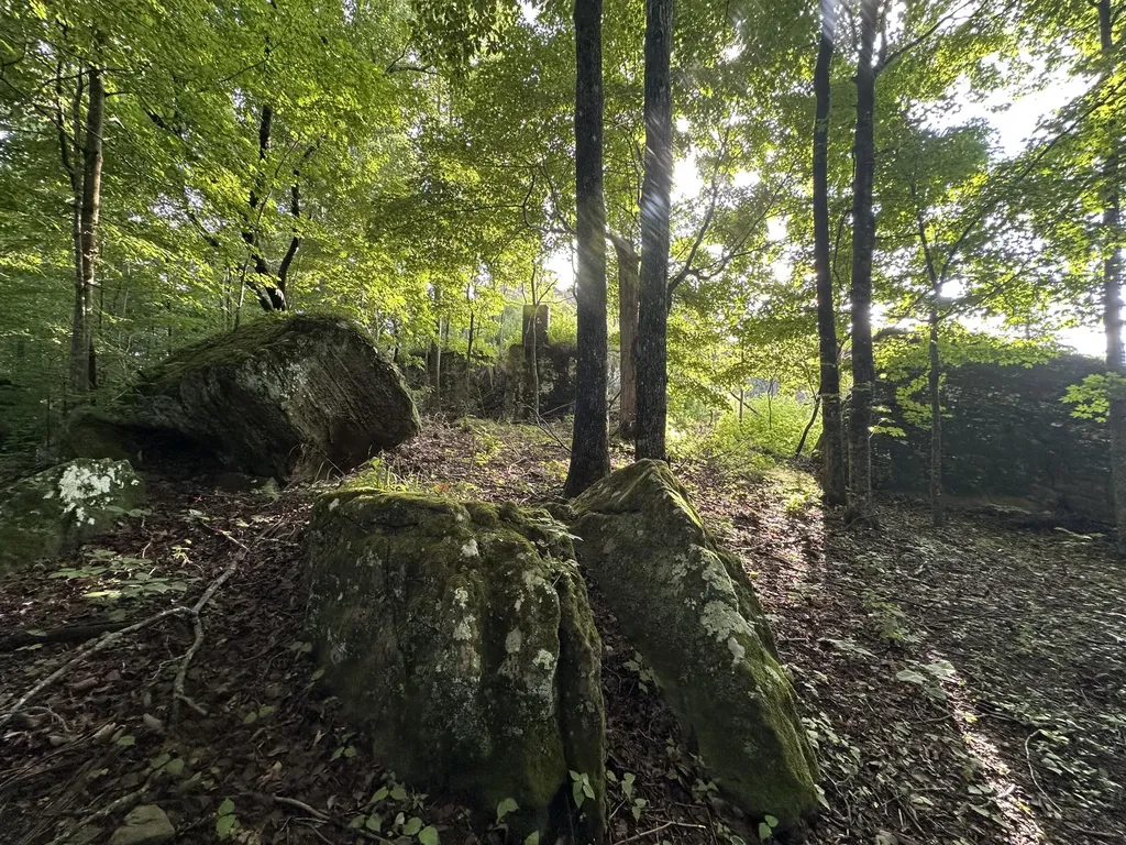 000 Cannon Hollow Road Bronston KY 42518