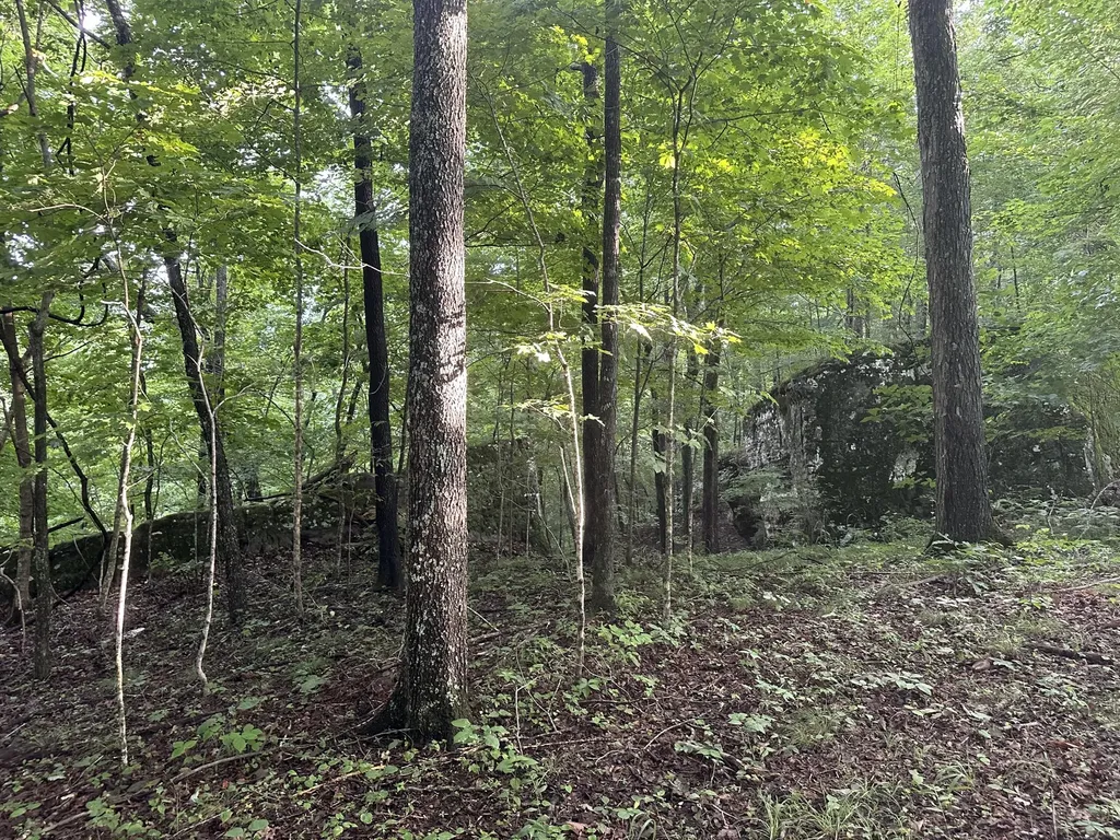000 Cannon Hollow Road Bronston KY 42518