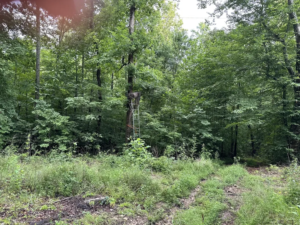 000 Cannon Hollow Road Bronston KY 42518