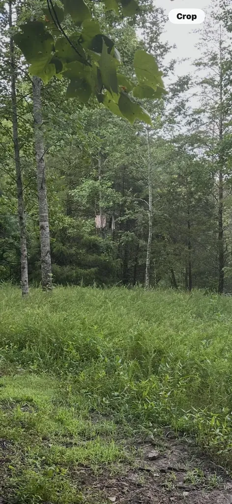 000 Cannon Hollow Road Bronston KY 42518