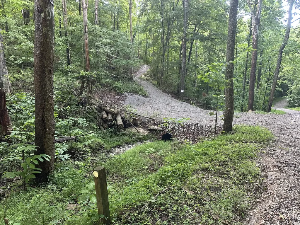 000 Cannon Hollow Road Bronston KY 42518