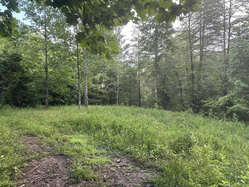 000 Cannon Hollow Road Bronston KY 42518