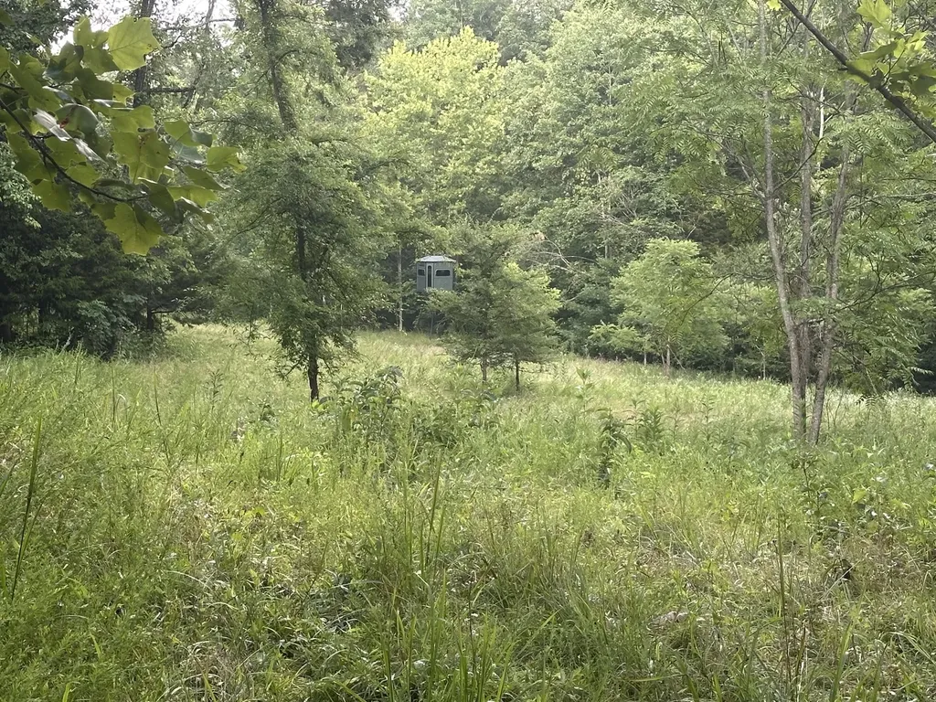 000 Cannon Hollow Road Bronston KY 42518