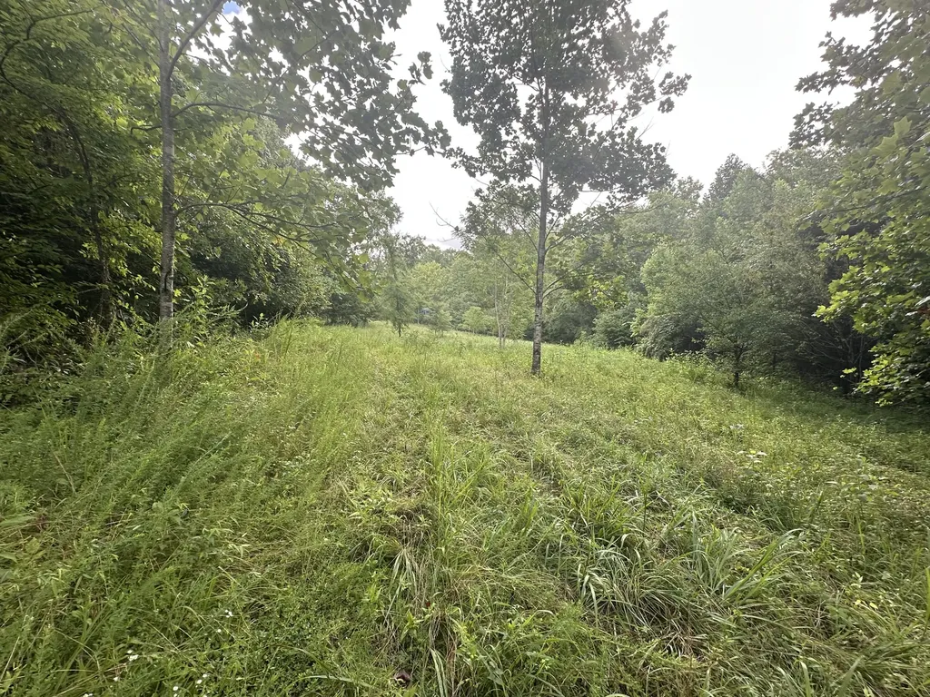 000 Cannon Hollow Road Bronston KY 42518