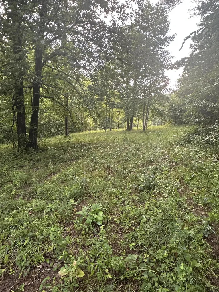 000 Cannon Hollow Road Bronston KY 42518