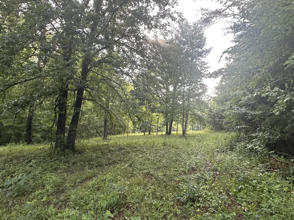 000 Cannon Hollow Road Bronston KY 42518