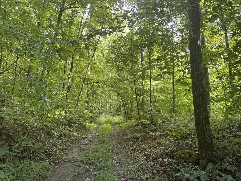 2758 Zion Road Monticello KY 42633