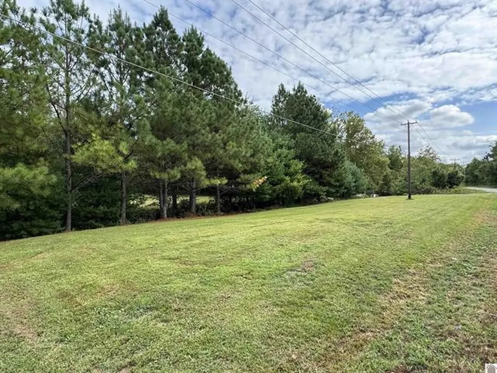 240 Jeff Watson Road Princeton KY 42445
