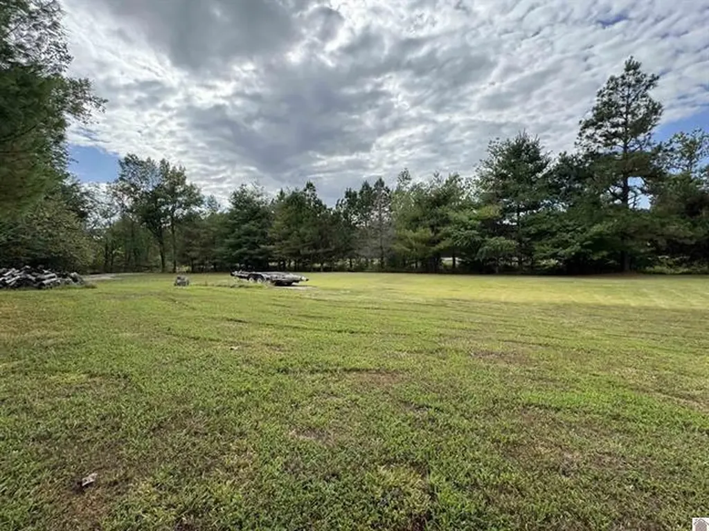 240 Jeff Watson Road Princeton KY 42445