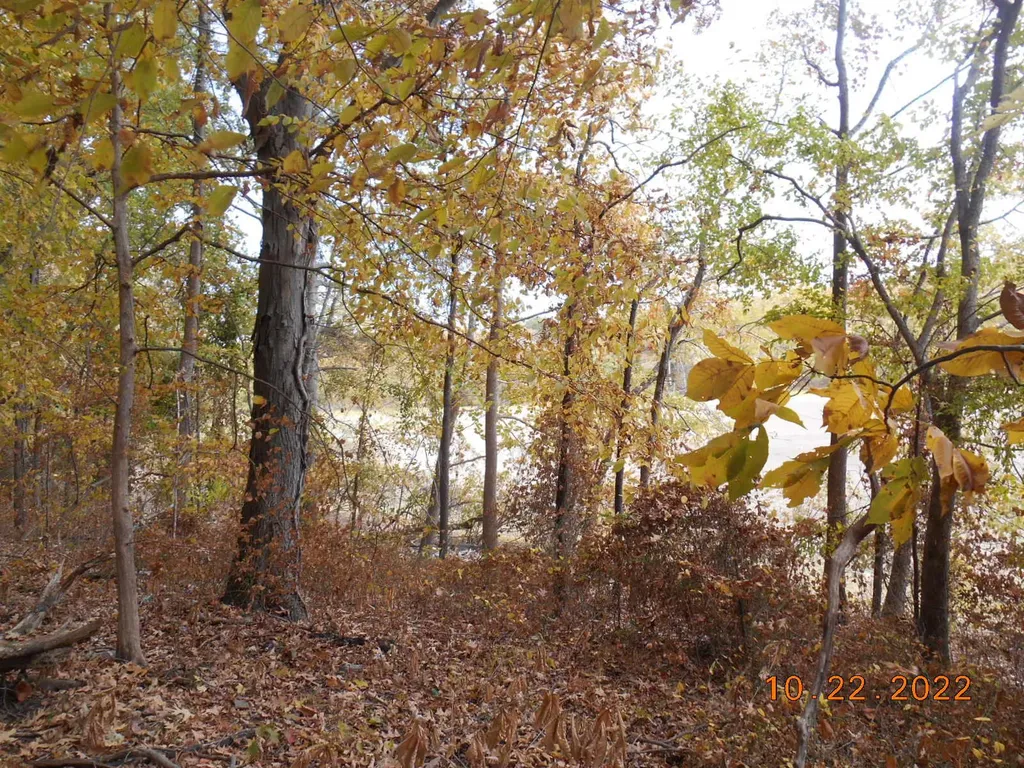 0 Crane Lane Cadiz KY 42211