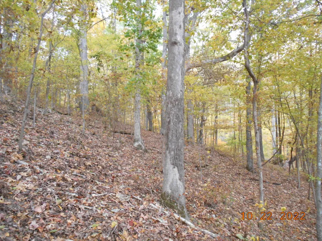 0 Crane Lane Cadiz KY 42211