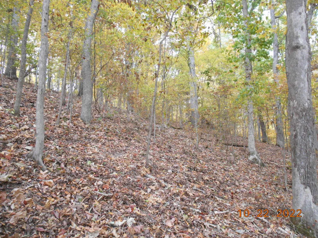 0 Crane Lane Cadiz KY 42211