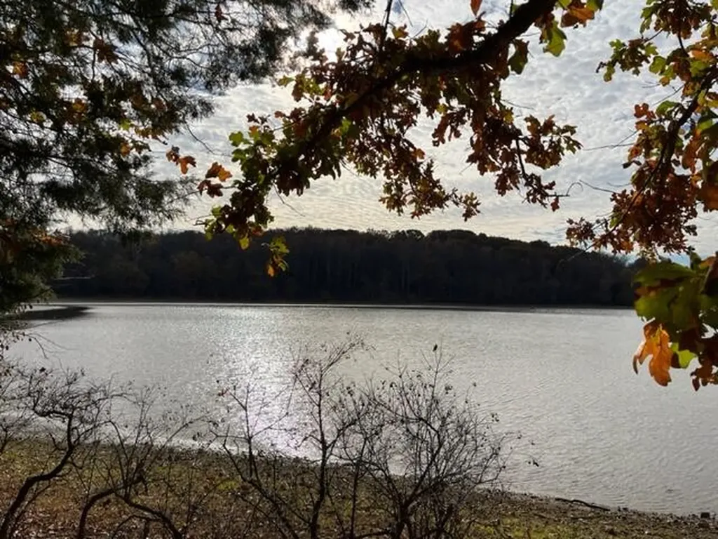 0 Crane Lane Cadiz KY 42211