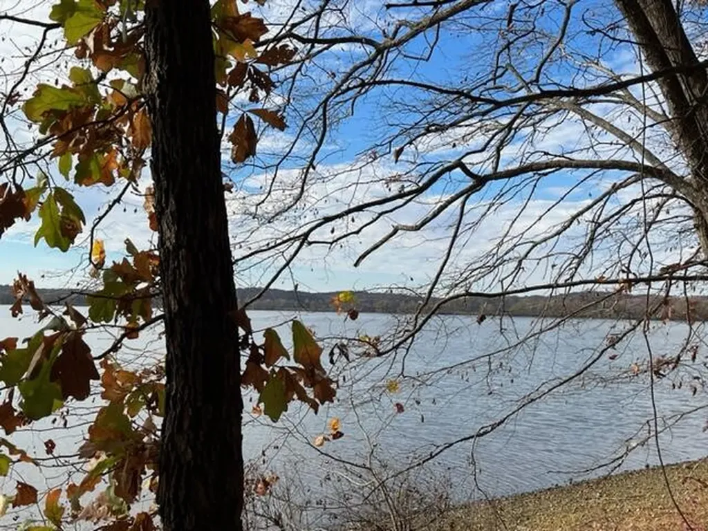 0 Crane Lane Cadiz KY 42211